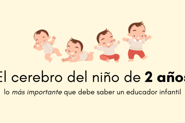 cómo funciona el cerebro del niño de 2 años