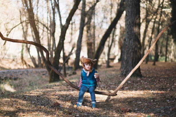 Qué es el juego de riesgo controlado